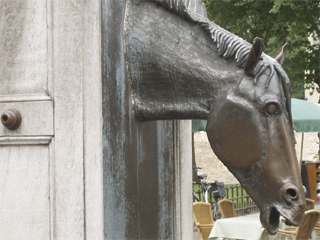 One of the horse's heads on the horse trough