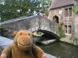 Mr Monkey looking at the small bridge