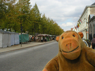 Mr Monkey looking at the temporary market on the Dijver
