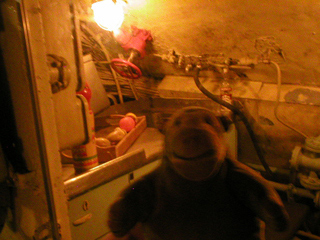 Mr Monkey looking into the galley