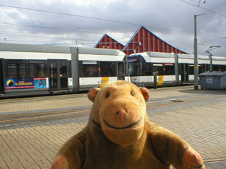 Mr Monkey watching trams in the Ostende depot