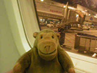 Mr Monkey looking out of his aircraft window at Brussels airport