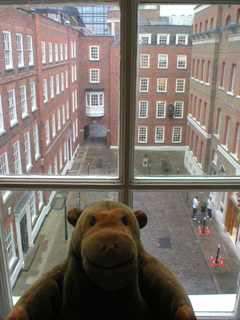 Mr Monkey looking at Gough Square from the garret