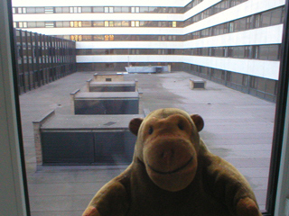 Mr Monkey looking out of his hotel room window