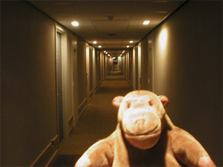 Mr Monkey in a long hotel corridor