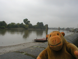 Mr Monkey looking at the Thames in Hammersmith