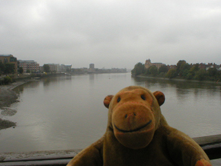 Mr Monkey looking downriver from Hammersmith Bridge