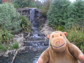 Mr Monkey looking at a New Zealand waterfall