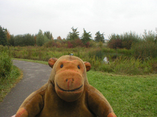 Mr Monkey on a path in the Wildside