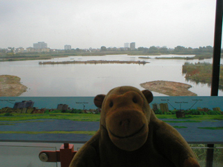 Mr Monkey looking at the main lake from the Visitor Centre