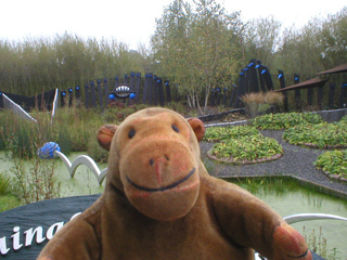 Mr Monkey looking at one of the sustainable gardens