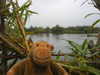 Mr Monkey looking at the sheltered lagoon