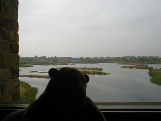 Mr Monkey looking at the main lake from the Peacock Tower