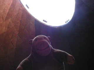 Mr Monkey looking up at the open top of the Pavilion