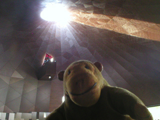 Mr Monkey looking up at the viewing gallery