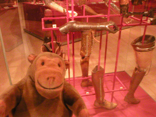 Mr Monkey looking at a collection of artificial limbs