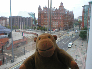 Mr Monkey looking out of the Gallery foyer window