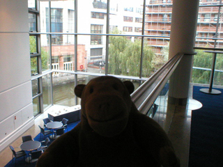 Mr Monkey looking out towards the canal basin