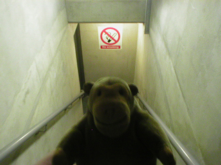 Mr Monkey scampering down a narrow staircase