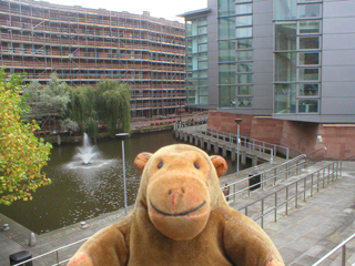 Mr Monkey looking down the steps at the canal basin