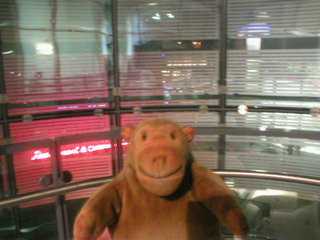 Mr Monkey looking out of level 3 of the Urbis building