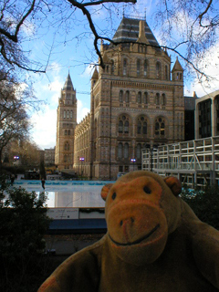 Mr Monkey looking at the ice rink outside the Natural History Museum