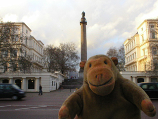 Mr Monkey looking at the Duke of York column