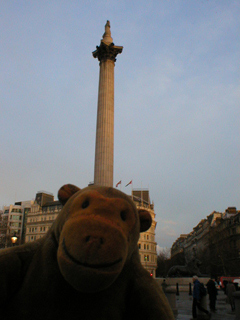 Mr Monkey looking up at Nelson's column