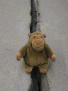 Mr Monkey bestriding a crack in the floor of the Tate Modern