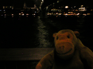 Mr Monkey watching lights reflected in the Thames