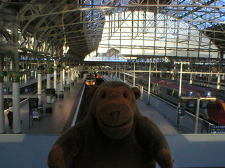 Mr Monkey looking down from the bridge at Piccadilly