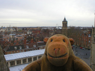 Mr Monkey looking across York from the top of the south transept