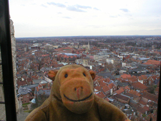 Mr Monkey looking South from the tower of York Minster
