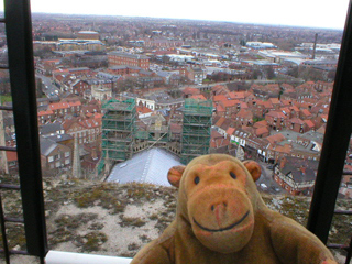 Mr Monkey looking East from the tower of York Minster