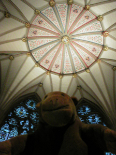 Mr Monkey looking at the ceiling of the Chapter House