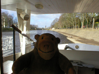 Mr Monkey looking through the front window of the boat