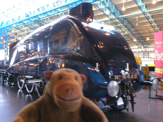 Mr Monkey looking at the front of the Mallard