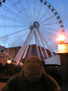 Mr Monkey looking at the Yorkshire Wheel