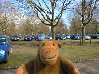 Mr Monkey looking around the car park
