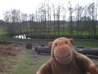 Mr Monkey looking at fields outside the park wall