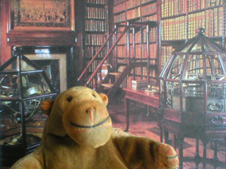 Mr Monkey in front of a picture of the of the library