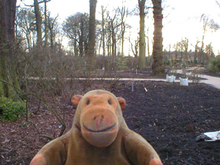 Mr Monkey looking at the newly planted winter garden