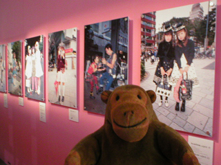 Mr Monkey looking at fashion pictures