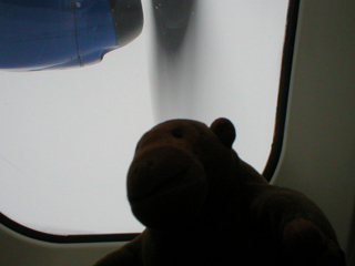 Mr Monkey looking at the propellor of his plane in flight