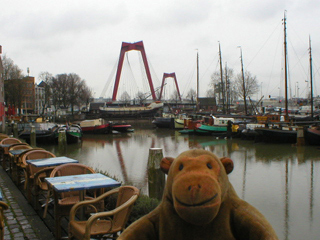 Mr Monkey looking at the Willemsbrug from the Oude Haven