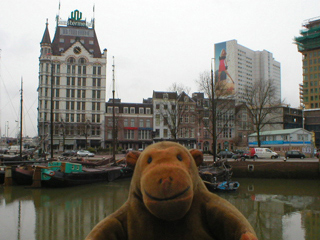 Mr Monkey looking across the Oude Haven