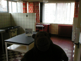Mr Monkey looking around the kitchen