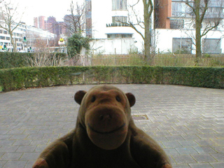 Mr Monkey looking out at the turning place for the family car