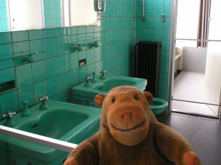 Mr Monkey looking at the daughters shared bathroom
