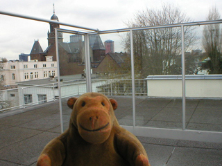 Mr Monkey looking around the roof